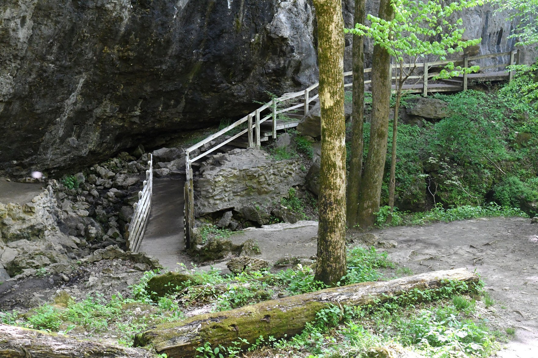 051321-qc-nws-maquoketacaves-129